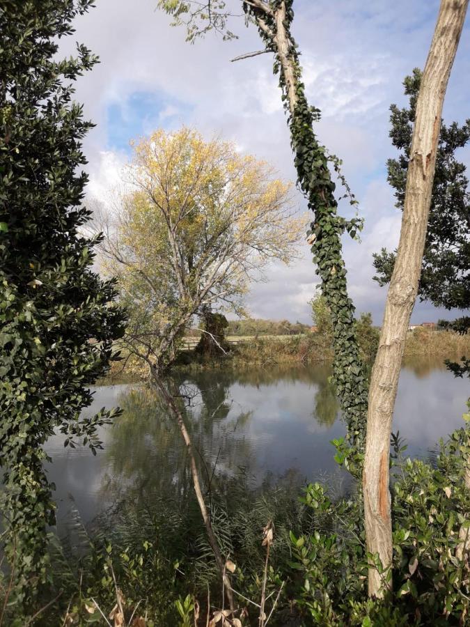 Tenuta Crescentini-Vallemura ,Appartamenti Con Entrata Indipendente San Donà di Piave Exteriör bild