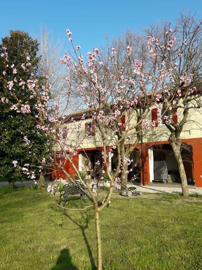 Tenuta Crescentini-Vallemura ,Appartamenti Con Entrata Indipendente San Donà di Piave Exteriör bild