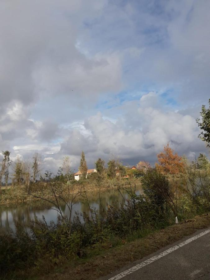 Tenuta Crescentini-Vallemura ,Appartamenti Con Entrata Indipendente San Donà di Piave Exteriör bild