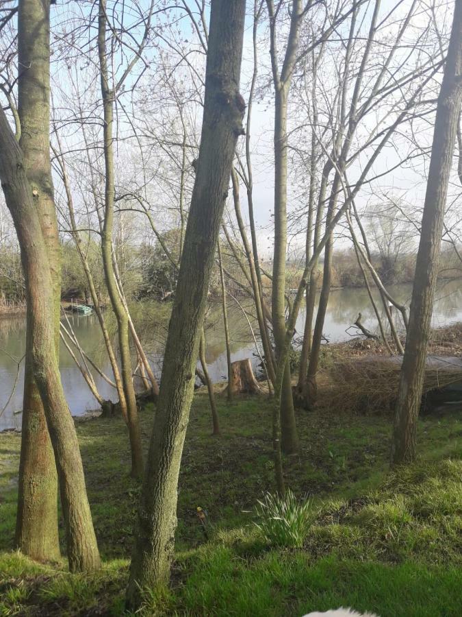 Tenuta Crescentini-Vallemura ,Appartamenti Con Entrata Indipendente San Donà di Piave Exteriör bild