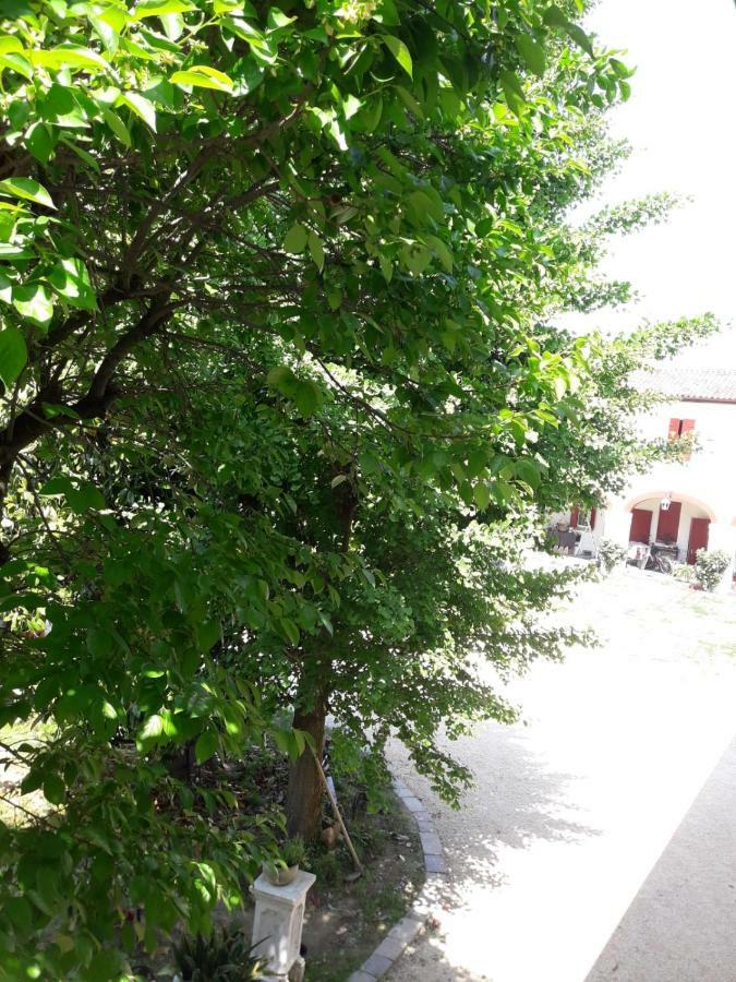 Tenuta Crescentini-Vallemura ,Appartamenti Con Entrata Indipendente San Donà di Piave Exteriör bild