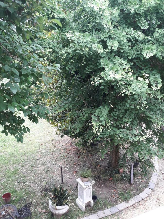 Tenuta Crescentini-Vallemura ,Appartamenti Con Entrata Indipendente San Donà di Piave Exteriör bild