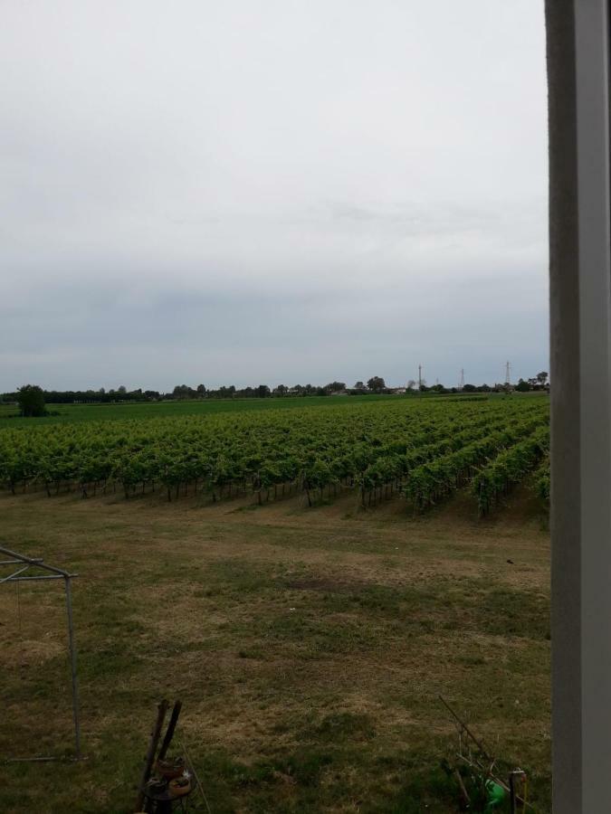 Tenuta Crescentini-Vallemura ,Appartamenti Con Entrata Indipendente San Donà di Piave Exteriör bild
