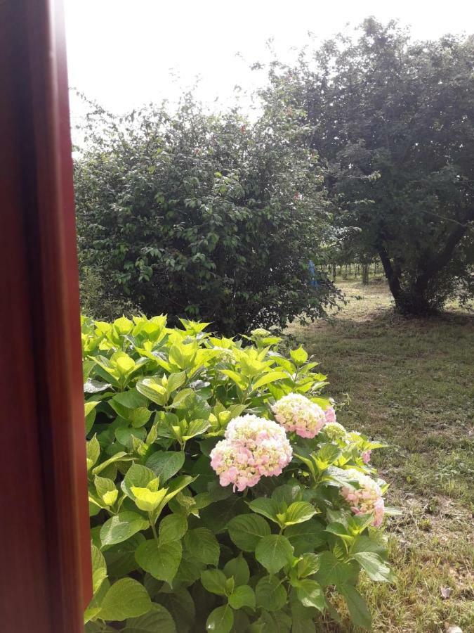 Tenuta Crescentini-Vallemura ,Appartamenti Con Entrata Indipendente San Donà di Piave Exteriör bild