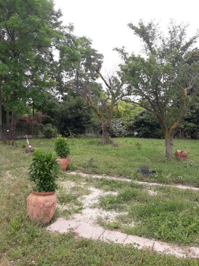 Tenuta Crescentini-Vallemura ,Appartamenti Con Entrata Indipendente San Donà di Piave Exteriör bild