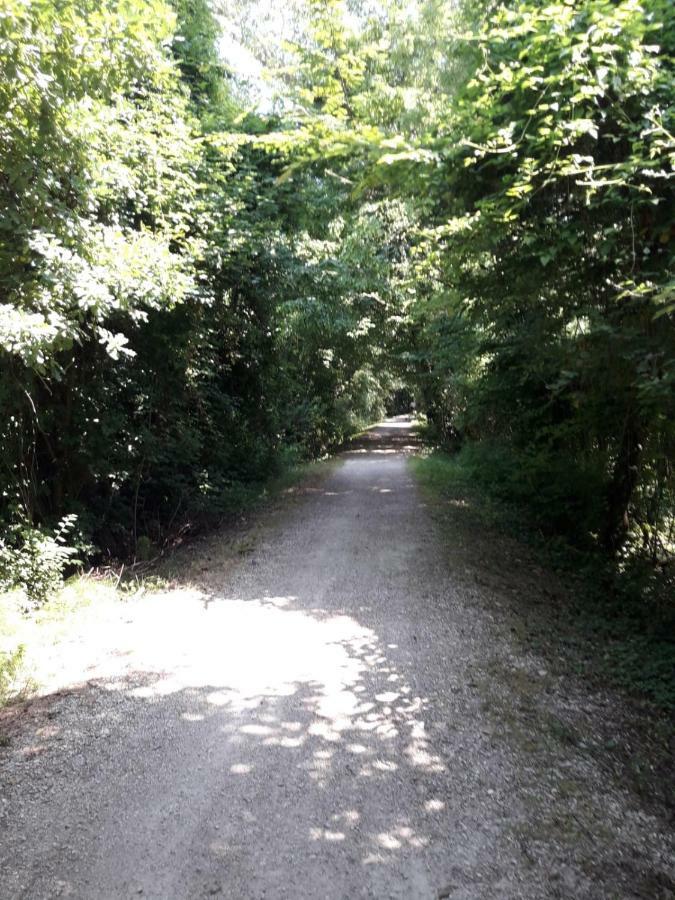 Tenuta Crescentini-Vallemura ,Appartamenti Con Entrata Indipendente San Donà di Piave Exteriör bild