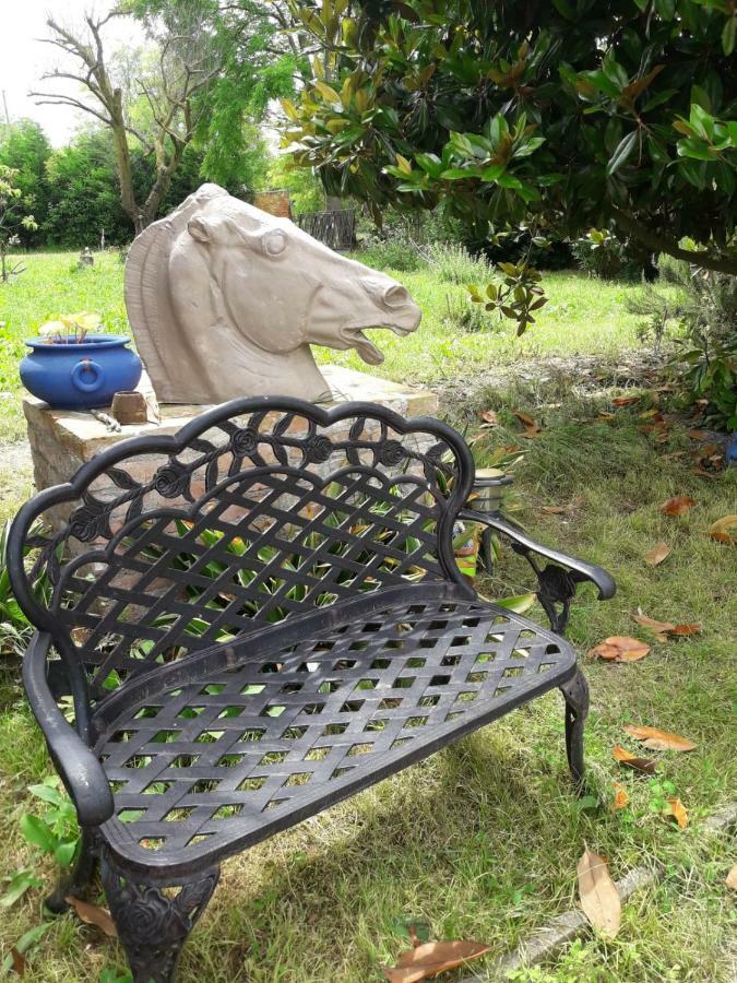 Tenuta Crescentini-Vallemura ,Appartamenti Con Entrata Indipendente San Donà di Piave Exteriör bild
