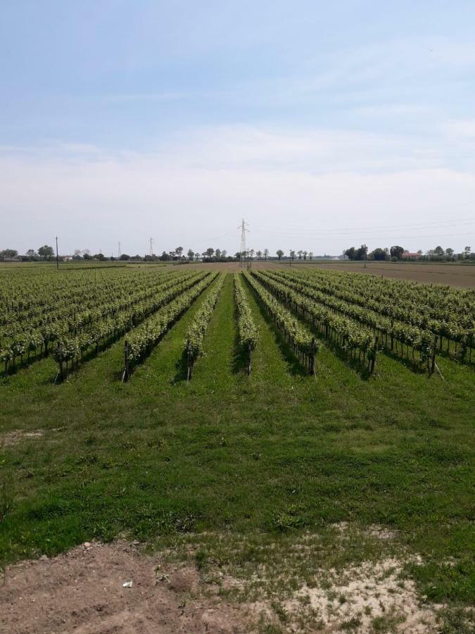 Tenuta Crescentini-Vallemura ,Appartamenti Con Entrata Indipendente San Donà di Piave Exteriör bild