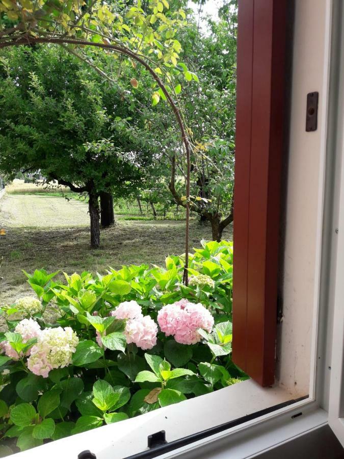 Tenuta Crescentini-Vallemura ,Appartamenti Con Entrata Indipendente San Donà di Piave Exteriör bild