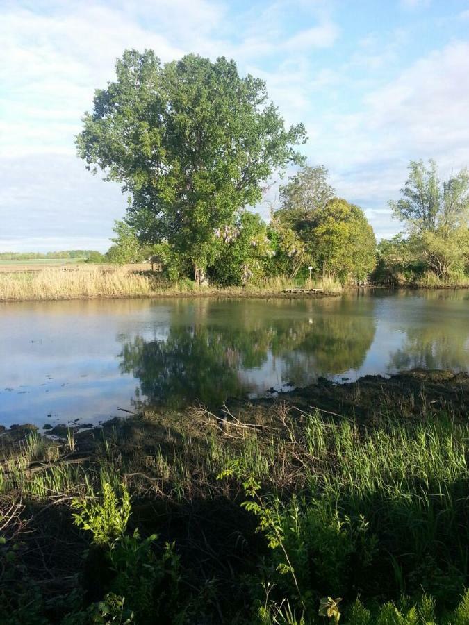 Tenuta Crescentini-Vallemura ,Appartamenti Con Entrata Indipendente San Donà di Piave Exteriör bild
