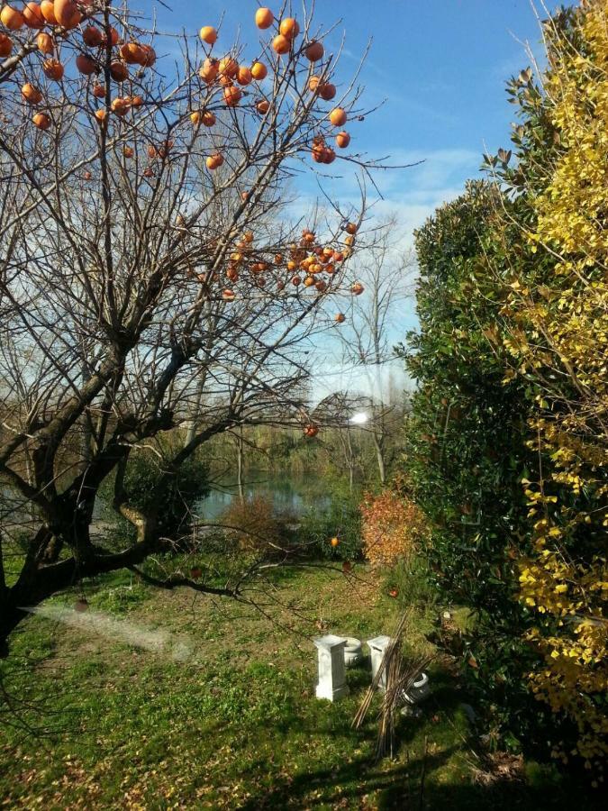 Tenuta Crescentini-Vallemura ,Appartamenti Con Entrata Indipendente San Donà di Piave Exteriör bild