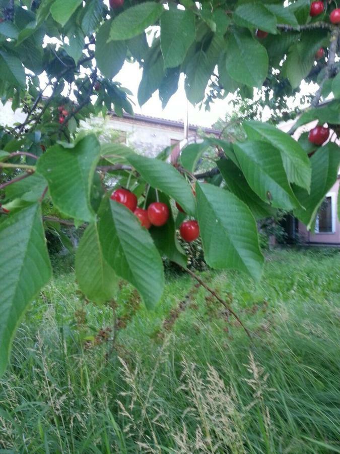 Tenuta Crescentini-Vallemura ,Appartamenti Con Entrata Indipendente San Donà di Piave Exteriör bild