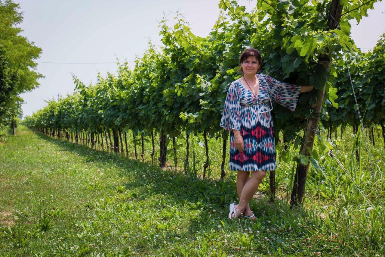 Tenuta Crescentini-Vallemura ,Appartamenti Con Entrata Indipendente San Donà di Piave Exteriör bild